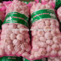 10kg bags garlic for Congo